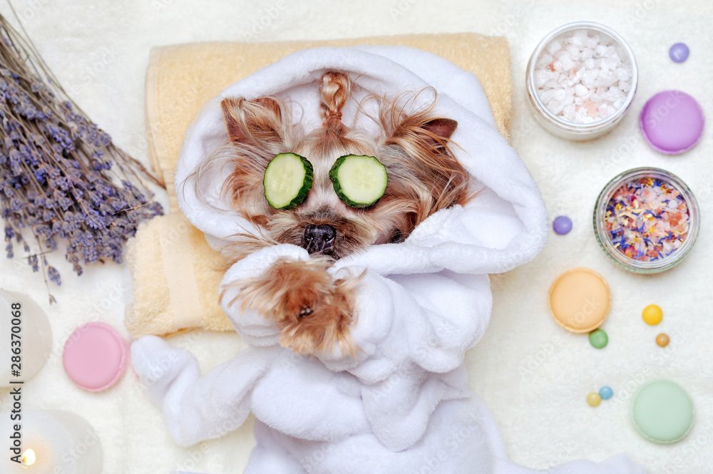 Relaxation Time with Massage