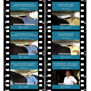Equine Video 1 - Proper Positioning for Efficient and Safe Massage