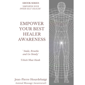 EBOOK - EMPOWER YOUR BEST HEALER AWARENESS