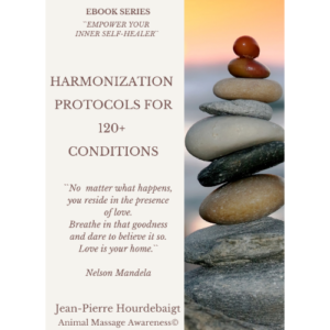 EBOOK - HARMONIZATION PROTOCOL FOR 120+ CONDITIONS.