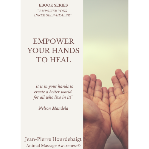 EBOOK - EMPOWER YOUR HANDS TO HEAL