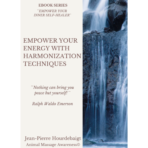 EBOOK - EMPOWER YOUR ENERGY WITH HARMONIZATION TECHNIQUES