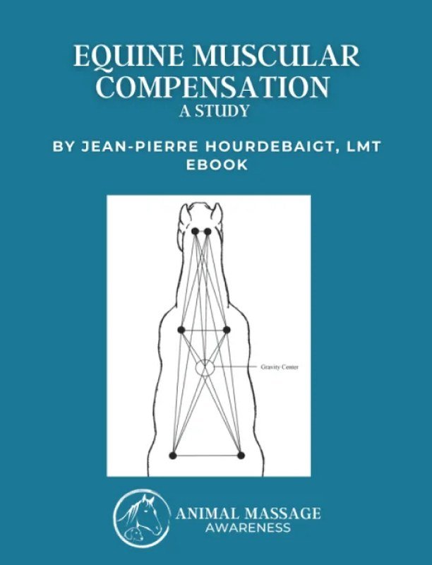 Equine Muscular Compensation Equine Muscular Compensation