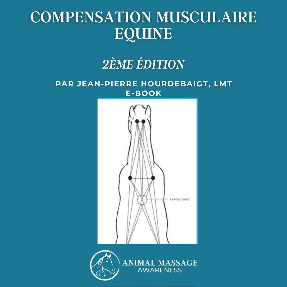 Copy of AMA E-Book Cover – Canine Muscular Compensation eng